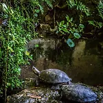 Jardim Ξενοδοχείο 2*
