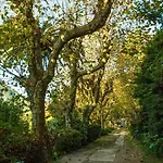 Ξενοδοχείο Jardim
