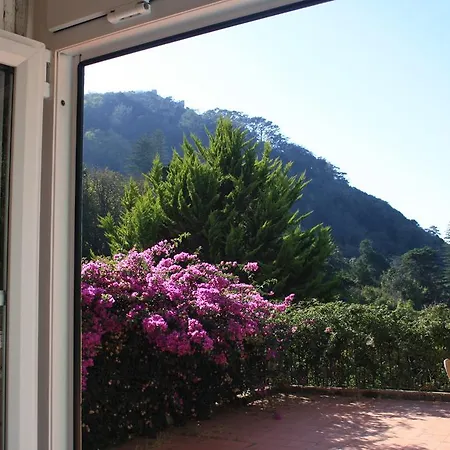 Jardim Hotel Sintra