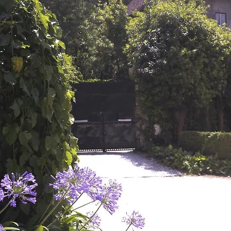 Jardim Синтра