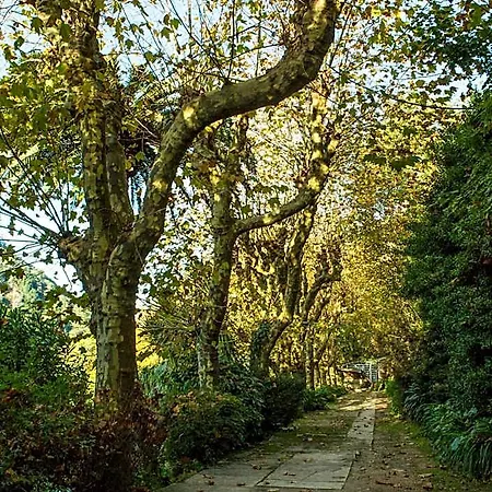 Jardim Hotel Sintra