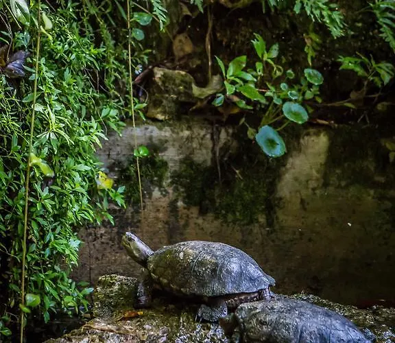辛特拉花园酒店 酒店 2*