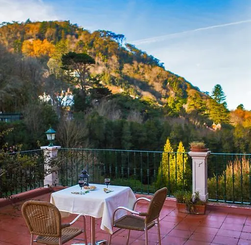 辛特拉花园酒店 辛特拉