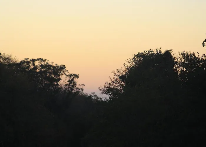 辛特拉花园酒店 2*